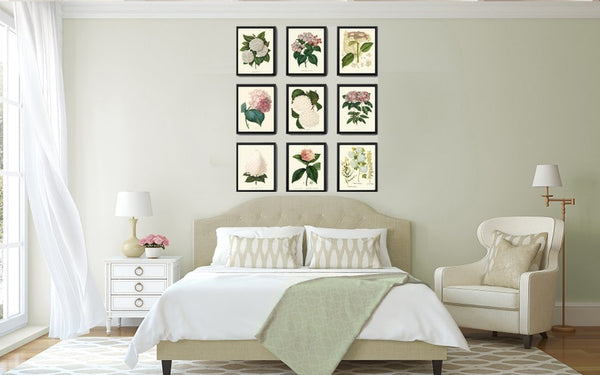 Hydrangea Hortensia Botanical Wall Art Set of 9 Prints Beautiful Vintage Antique Pink White Flowers Floral Garden Home Decor to Frame HYDR