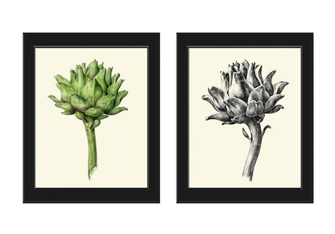 Artichoke Botanical Wall Art Set of 2 Prints Beautiful Vintage Antique Vegetable Gourmet Dining Room Kitchen Farm Home Decor to Frame JB