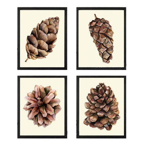 Pinecone Botanical Wall Art Prints Set of 4 Beautiful Pretty Pine Cones Tree Nature Farmhouse Rustic Decoration Home Room Decor to Frame CTW
