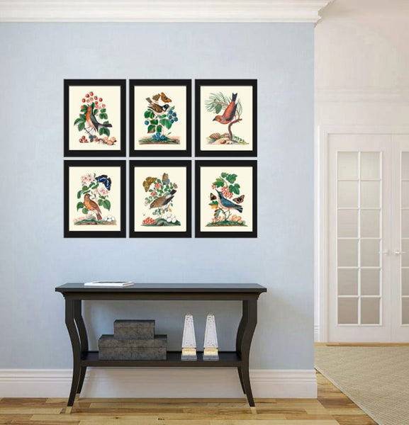 Vintage Bird Wall Art Set of 6 Prints Beautiful Antique Pretty Red Blue Berries Flowers Folk Art Birds Illustration Home Decor to Frame BJB