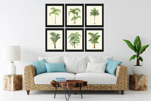 Palm Tree Prints Tropical Botanical Wall Art Set of 6 Prints Beautiful Antique Vintage Beach Home Coastal Home Room Decor to Frame PTL