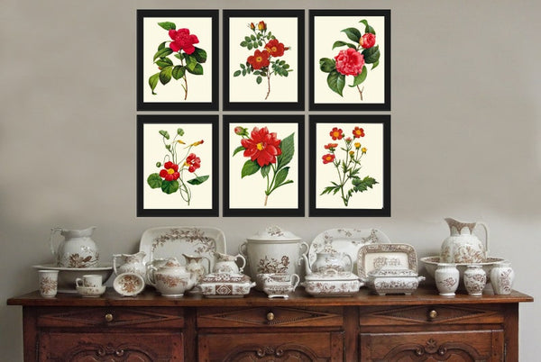 Red Flowers Botanical Wall Art Set of 6 Prints Beautiful Antique Vintage Peony Roses Camellia Nasturtium Dining Room Home Decor to Frame RE