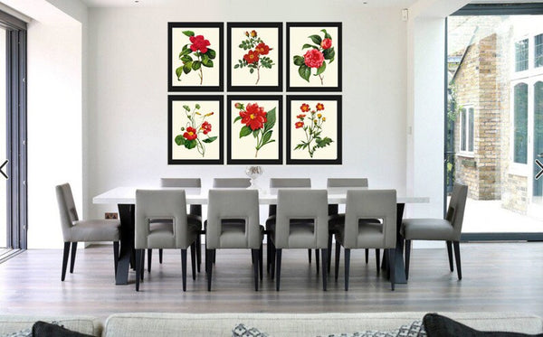 Red Flowers Botanical Wall Art Set of 6 Prints Beautiful Antique Vintage Peony Roses Camellia Nasturtium Dining Room Home Decor to Frame RE