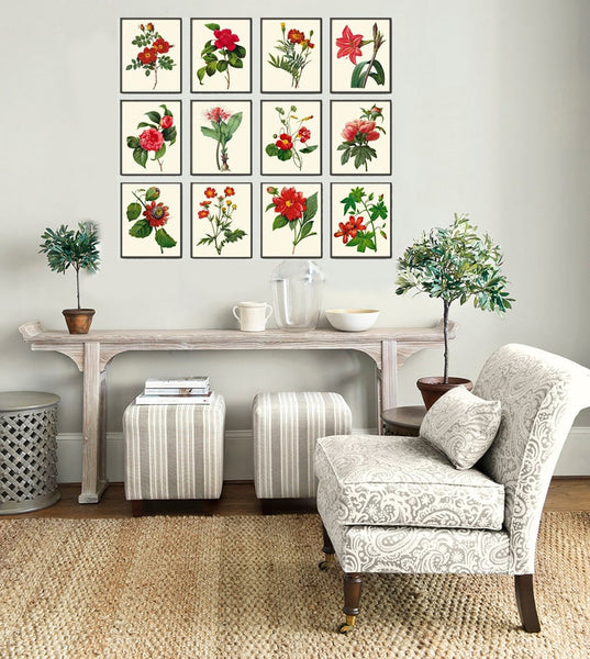 Red Flowers Botanical Wall Art Set of 12 Prints Beautiful Antique Vintage Peony Roses Camellia Nasturtium Dining Room Home Decor to Frame RE