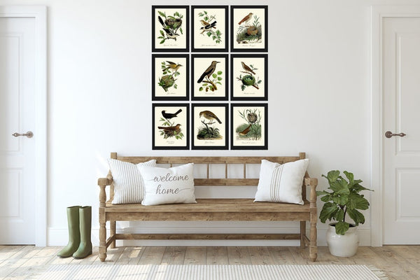 Vintage Bird Wall Art Gallery Set of 9 Prints Beautiful Antique Nest Trees Forest Outdoor Nature Farmhouse Cottage Home Decor to Frame DCF