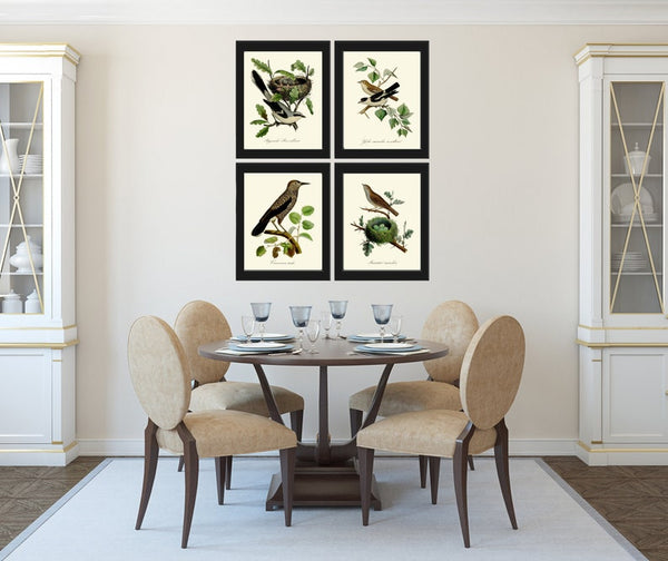 Vintage Bird Nest Wall Art Prints Set of 4 Beautiful Antique Trees Branch Green Forest Outdoor Nature Farmhouse Home Decor to Frame DCF