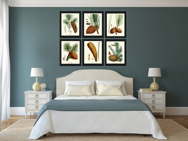 Pinecone Botanical Wall Art Set of 6 Prints Beautiful Antique Vintage Pine Tree Cones Forest Nature Farmhouse Cabin Home Decor to Frame R