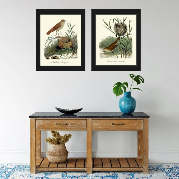 Vintage Bird Nest Wall Art Prints Set of 2 Beautiful Antique Farmhouse Cabin Cottage Farm Rustic Country Pretty Home Decor to Frame DCF