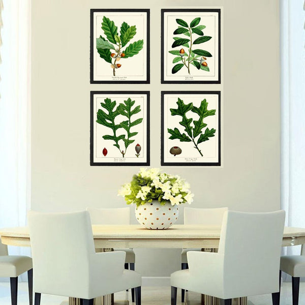 Acorn Botanical Wall Art Set of 4 Prints Beautiful Antique Vintage Green Tree Dining Room Bedroom Fireplace Hallway Home Decor to Frame REDT