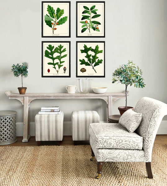 Acorn Botanical Wall Art Set of 4 Prints Beautiful Antique Vintage Green Tree Dining Room Bedroom Fireplace Hallway Home Decor to Frame REDT