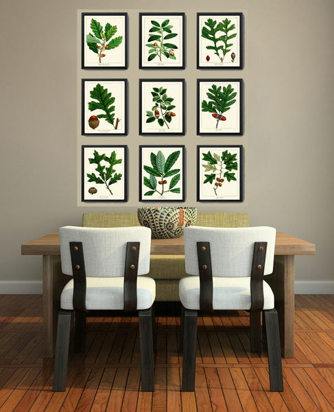 Acorn Botanical Wall Art Set of 9 Prints Beautiful Antique Vintage Green Tree Dining Room Bedroom Fireplace Hallway Home Decor to Frame REDT