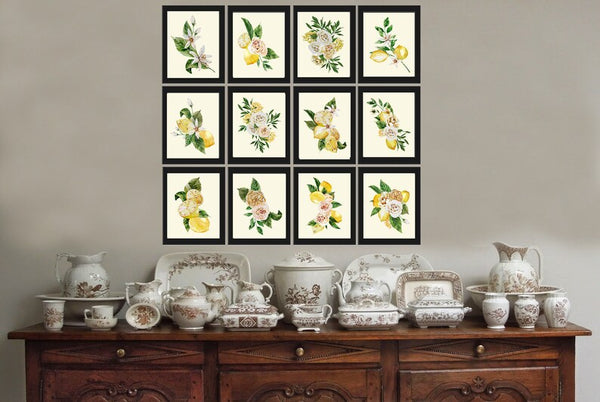 Lemons and Roses Botanical Wall Art Set of 12 Prints Beautiful Blooming Citrus Fruit Flowers Watercolor Illustration Home Decor to Frame LMC