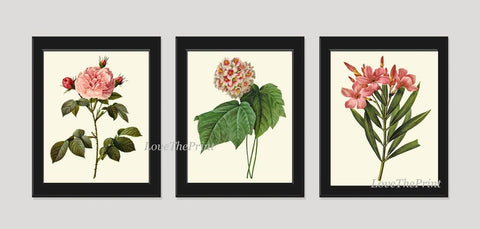Botanical Wall Art Set of 3 Prints Beautiful Antique Vintage Pink Flowers Rose French Romantic Chabby Chic Home Room Decor to Frame RE