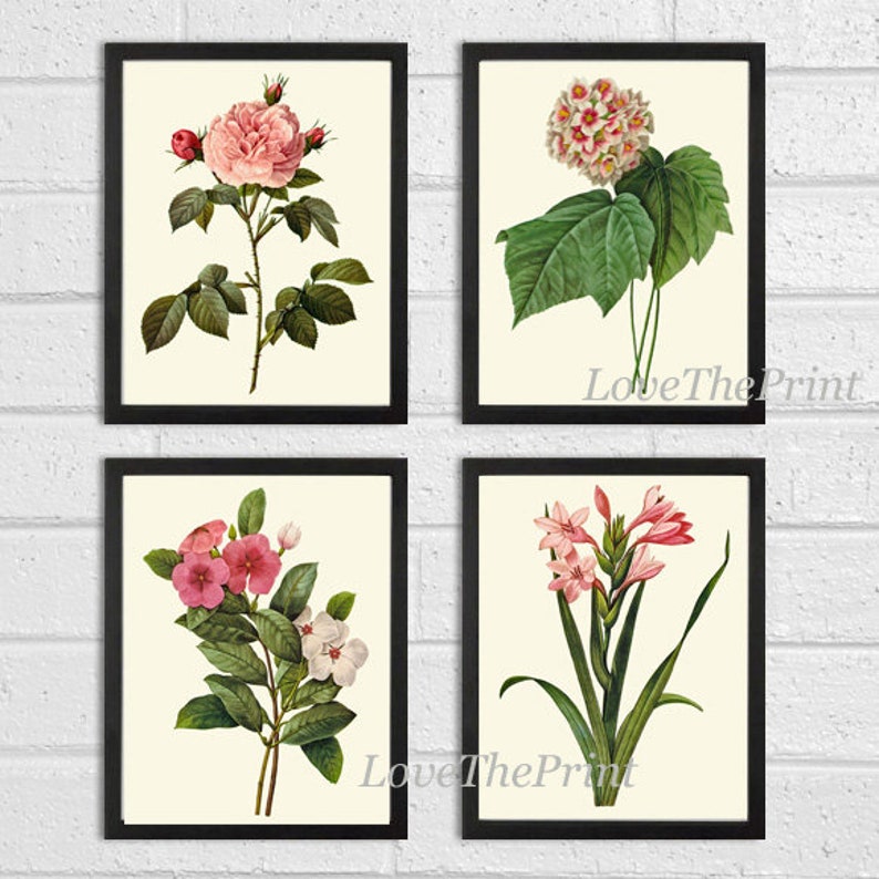 Botanical Wall Art Set of 4 Prints Beautiful Antique Vintage Pink Flowers Rose French Romantic Chabby Chic Home Room Decor to Frame RE