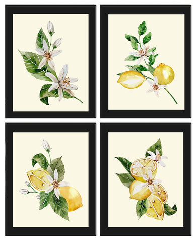 Lemons and Roses Botanical Wall Art Set of 4 Prints Beautiful Blooming Citrus Fruit Flowers Tropical Interior Design Home Decor to Frame LMC