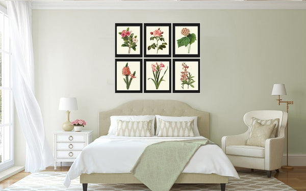 Pink Flowers Botanical Wall Art Set of 6 Prints Beautiful Antique Vintage Rose French Romantic Chabby Chic Home Room Decor to Frame RE