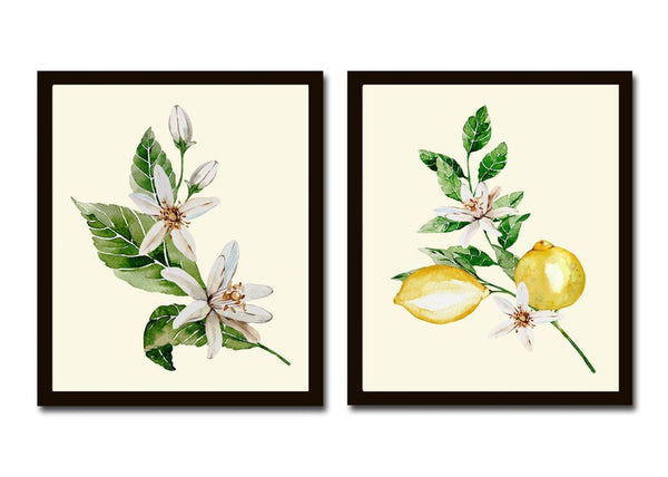 Lemon Print Set Fruit Botanical Wall Art 2 Prints Beautiful Blooming Citrus Tree Flowers Tropical Interior Design Home Decor to Frame LMC