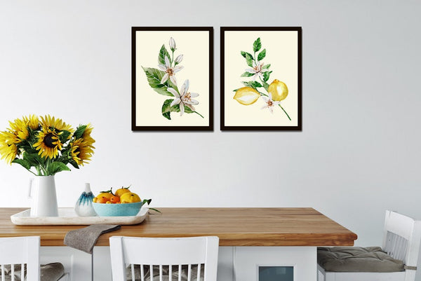 Lemon Print Set Fruit Botanical Wall Art 2 Prints Beautiful Blooming Citrus Tree Flowers Tropical Interior Design Home Decor to Frame LMC