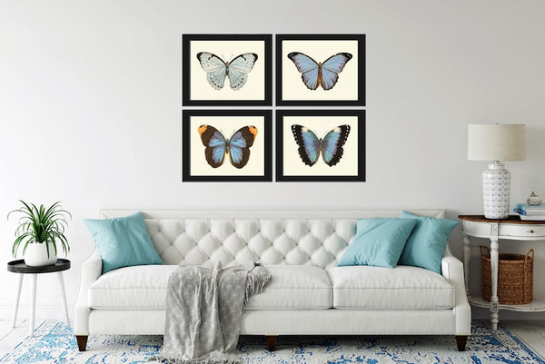 Blue Butterfly Wall Art Set of 4 Prints Beautiful Antique Vintage Pretty Butterfly Chart Interior Design Decoration Home Decor to Frame LPH