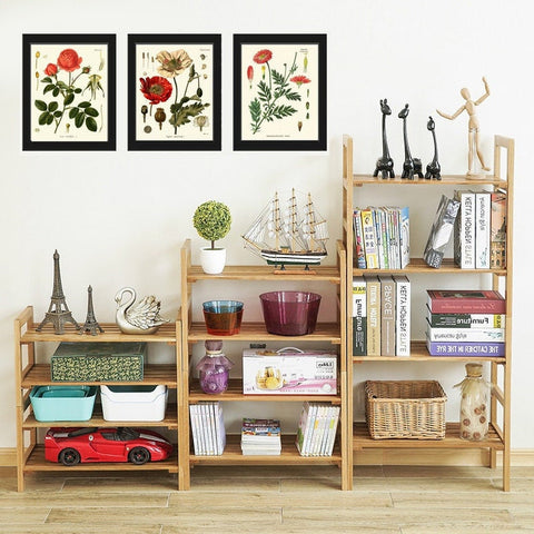 Red Poppy Roses Marguerite Daisy Botanical Wall Art Set of 3 Prints Beautiful Antique Vintage Flowers Poster Home Room Decor to Frame KOH