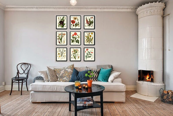 Red Poppy Roses Dandelion Hollyhock Botanical Wall Art Set of 9 Prints Beautiful Antique Vintage Flower Poster Home Room Decor to Frame KOH