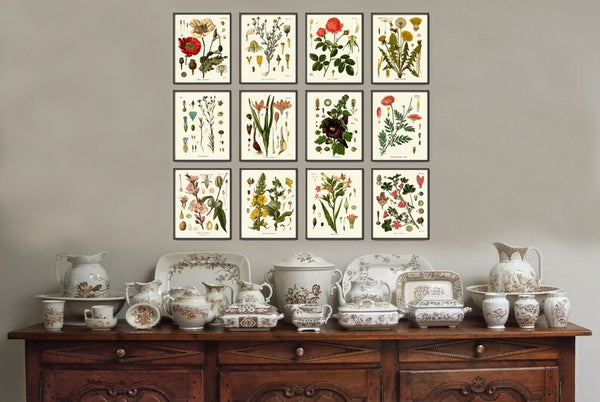 Botanical Wall Art Set of 12 Prints Beautiful Antique Vintage Red Poppy Roses Dandelion Hollyhock Flower Poster Home Room Decor to Frame KOH