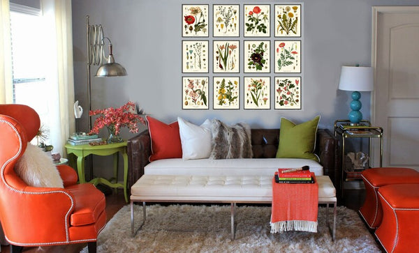 Botanical Wall Art Set of 12 Prints Beautiful Antique Vintage Red Poppy Roses Dandelion Hollyhock Flower Poster Home Room Decor to Frame KOH