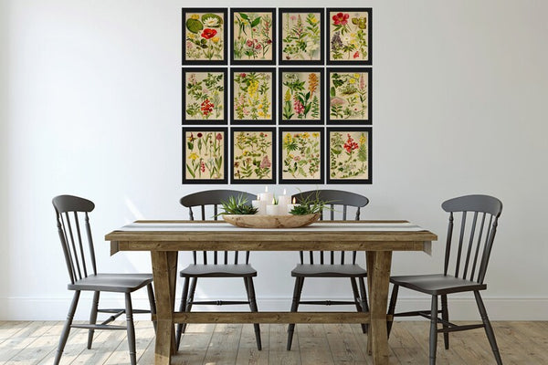 Wildflower Botanical Prints Wall Art Set of 12 Beautiful Antique Vintage Country Field Outdoor Nature Farmhouse Home Room Decor to Frame BNF