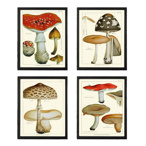 Vintage Mushroom Botanical Wall Art Set of 4 Prints Beautiful Antique Forest Nature Cabin Rustic Farmhouse Kitchen Home Decor to Frame EDM