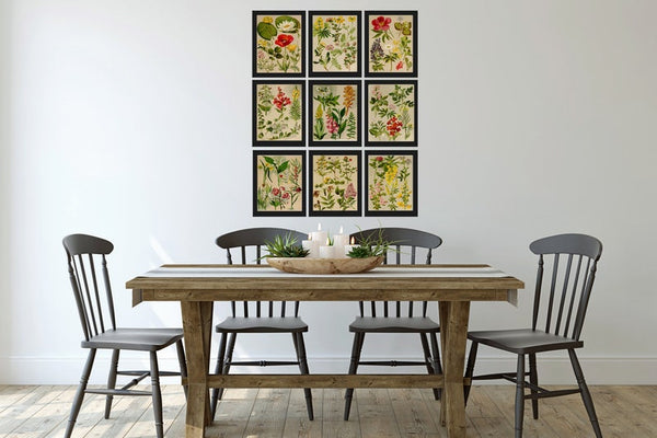 Wildflower Botanical Prints Wall Art Set of 9 Beautiful Antique Vintage Country Field Outdoor Nature Farmhouse Home Room Decor to Frame BNF