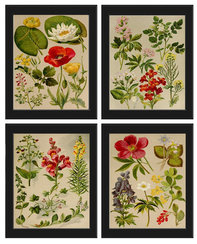 Wildflower Botanical Prints Wall Art Set of 4 Beautiful Antique Vintage Country Field Flowers Botanical Farmhouse Home Decor to Frame BNF
