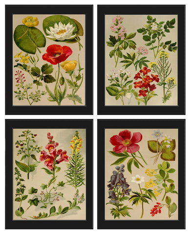 Wildflower Botanical Prints Wall Art Set of 4 Beautiful Antique Vintage Country Field Flowers Botanical Farmhouse Home Decor to Frame BNF