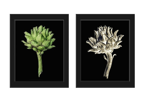 Artichoke Botanical Wall Art Set of 2 Prints Beautiful Vintage Antique Vegetable Black Background Kitchen Dining Farm Home Decor to Frame JB