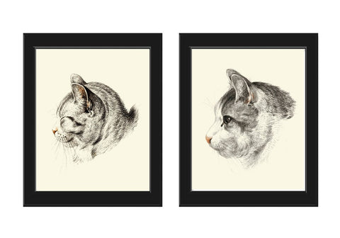 Cat Pet Portrait Wall Art Print Set of 2 Prints Beautiful Antique Vintage Kitty Kitten Animal Drawing Illustration Home Decor to Frame JB