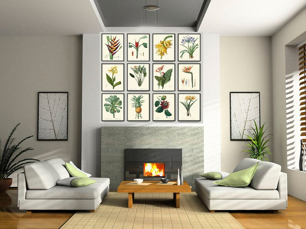Tropical Botanical Wall Decor Art Set of 12 Prints Beautiful Antique Vintage Interior Design Designer Gallery Colorful Plants to Frame REDT