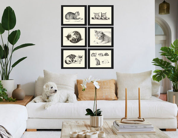 Cat Kitten Wall Decor Art Set of 6 Prints Beautiful Vintage Antique Cute Pet Animal Portrait Black and White Drawing Home Decor to Frame JB