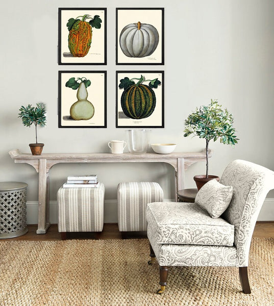 Pumpkin Wall Decor Art Prints Set of 4 Beautiful Antique Vintage Fall Decoration Office Kitchen Dining Room Fireplace Home Decor to Frame UA