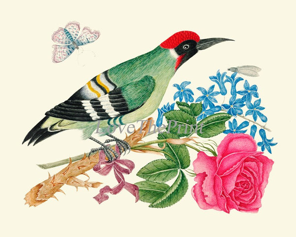 Bird Prints Large Wall Art Gallery Set of 16 Beautiful Birds Flowers Botanical Interior Design Living Room Dining Home Decor to Frame BOT