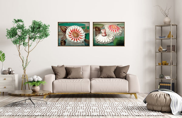 Lotus Water Lily Botanical Prints Wall Art Set of 2 Beautiful Antique Vintage Lake House Outdoor Nature Flowers Home Room Decor to Frame WSH
