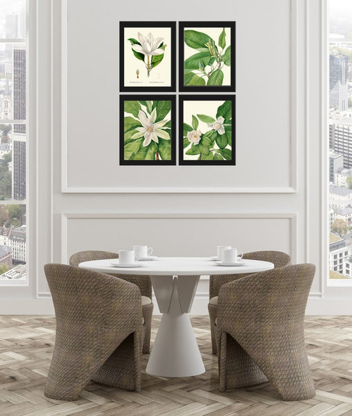 Magnolia Tree Flowers Wall Art Decor Set of 4 Prints Beautiful Antique Vintage White Green Nature Spring Garden Home Decor to Frame MVW
