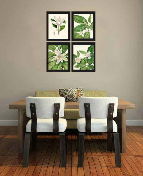 Magnolia Tree Flowers Wall Art Decor Set of 4 Prints Beautiful Antique Vintage White Green Nature Spring Garden Home Decor to Frame MVW