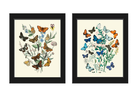 Vintage Blue Brown Butterflies Wall Art Set of 2 Prints Beautiful Antique Garden Outdoor Nature Chart Poster Home Decor Picture to Frame WFK