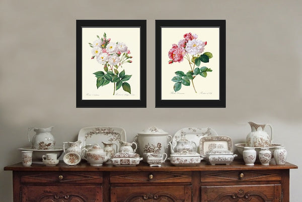 French Roses Botanical Prints Wall Art Set of 2 Beautiful Antique Vintage White Pink Flowers Bouquet Illustration Home Decor to Frame LRR