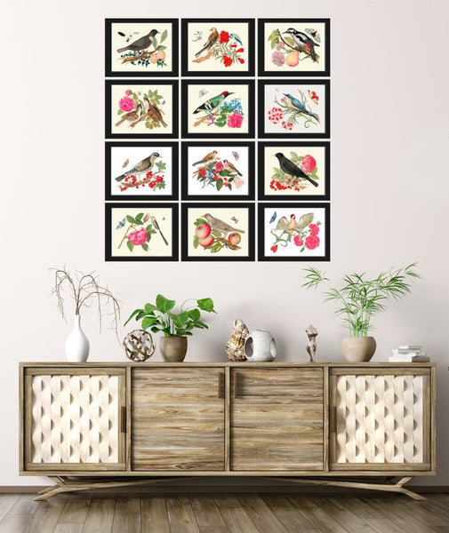 Beautiful Bird Wall Art Home Decor Set of 12 Prints Colorful Birds Flowers Interior Design Designer Large Gallery Watercolor to Frame BOT