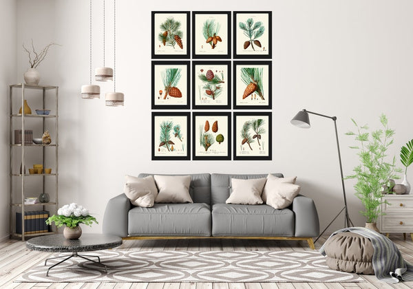 Pinecone Botanical Wall Art Set of 9 Prints Beautiful Vintage Antique Conifer Pine Cone Tree Woodland Cabin Home Room Decor to Frame TDA