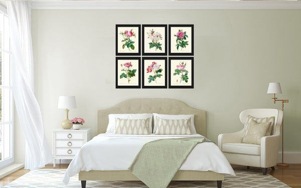 Roses Botanical Wall Decor Art Set of 6 Prints Beautiful Vintage Antique French Country Garden Romantic White Pink Home Decor to Frame LRR