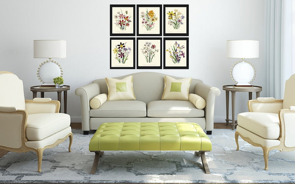 Botanical Prints Wall Decor Art Set of 6 Beautiful Vintage Antique Wildflowers Country Field Pretty Colorful Floral Home Decor to Frame LEB