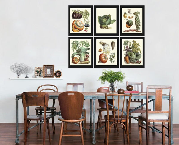 Vintage Vegetables Print Wall Art Set of 6 Beautiful Antique Cabbage Eggplant Pumpkin Brussel Sprouts Garden Home Decor Interior to Frame LP