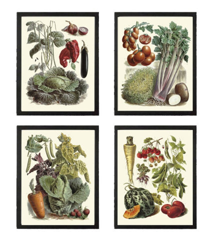 Vintage Vegetable Garden Wall Art Set of 4 Prints Beautiful Antique Farmhouse Kitchen Dining Room Interior Design Home Decor to Frame LP