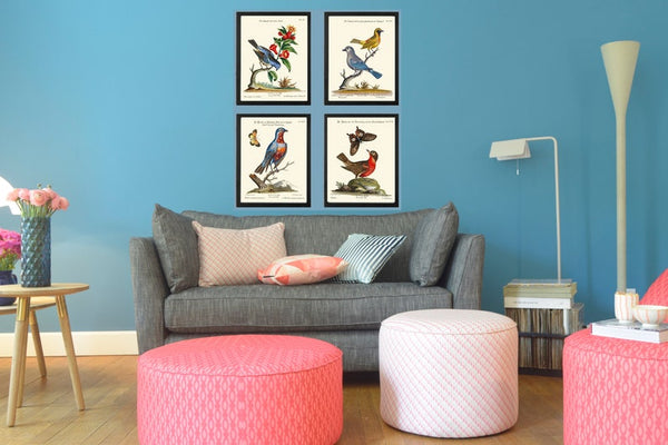 Vintage Bird Nest Wall Art Prints Set of 4 Beautiful Antique Dining Room Living Fireplace Hallway Office Farmhouse Home Decor to Frame MCT